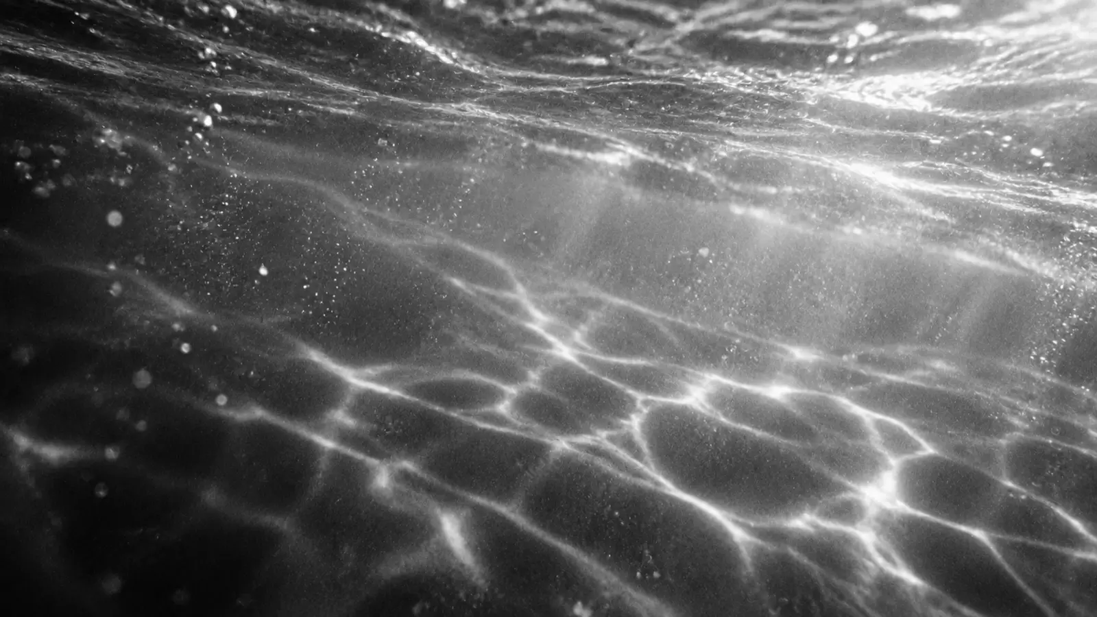 水面のすぐ下。揺れる光の帯が浅い水を横切っている
